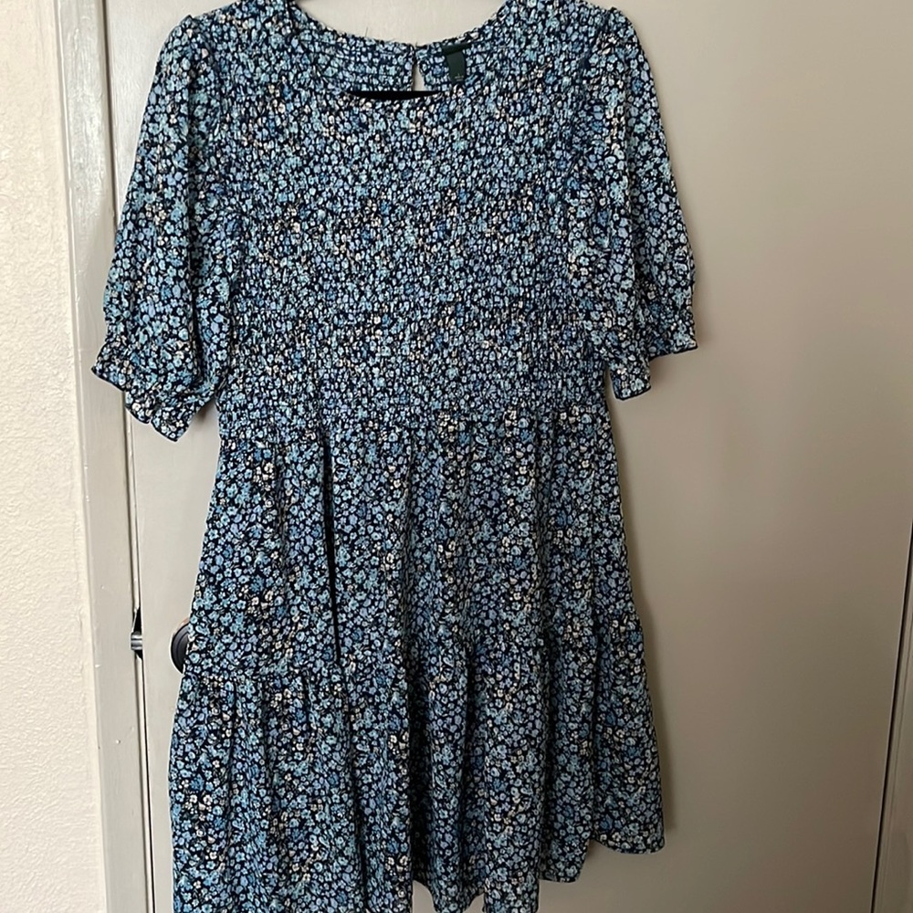Wild Fable dress